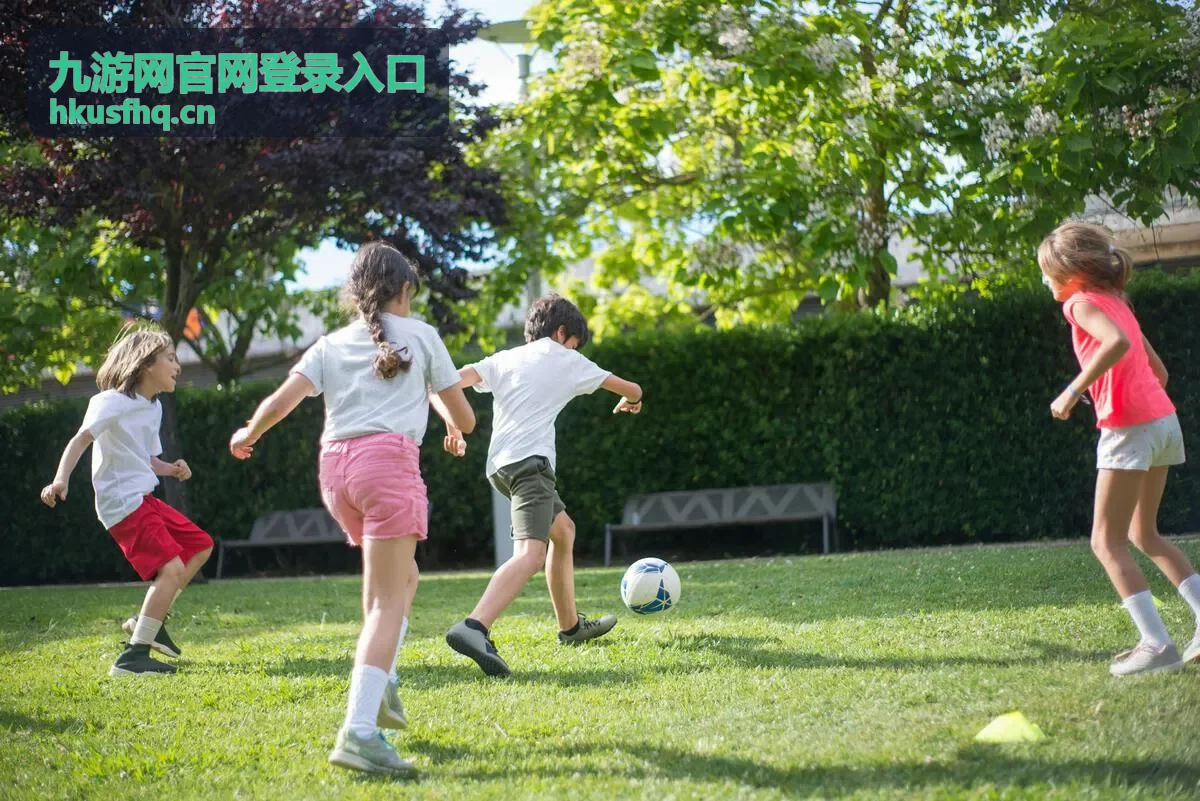 九游网官网登录入口绑定手机与邮箱核对示意图